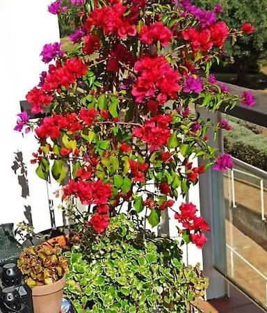 Mi Paraiso Para Ti